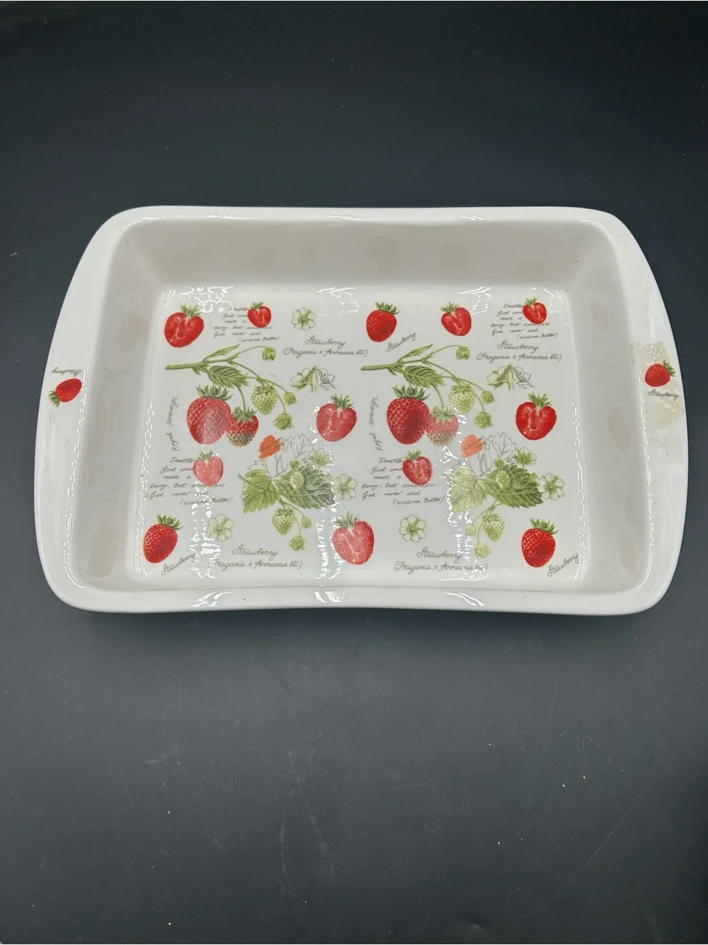 Kent Pottery White Strawberry Ceramic Baking Dish